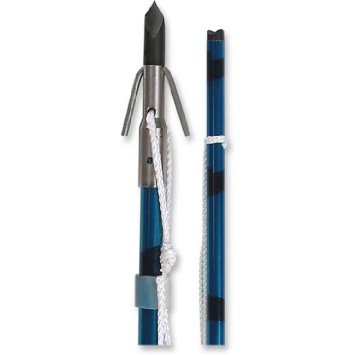 crossbow bolt with dart